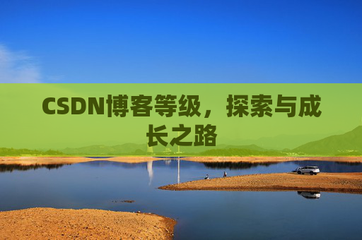 CSDN博客等级,探索与成长之路